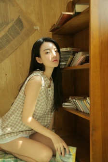 哥斯拉怪兽之王